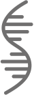 The Digital Gene