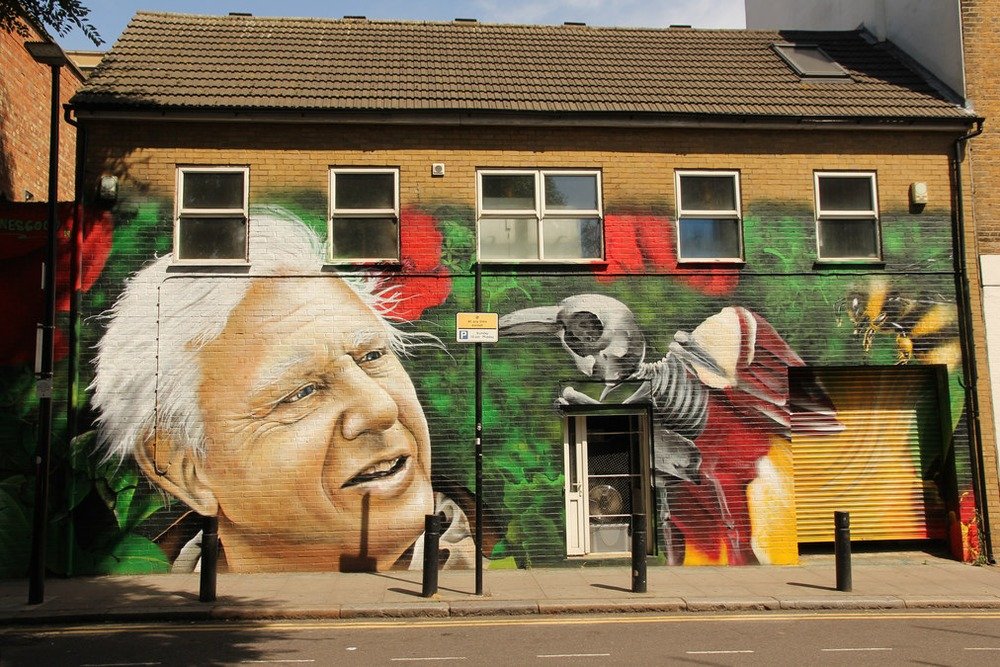 5 life lessons from Sir David Attenborough
